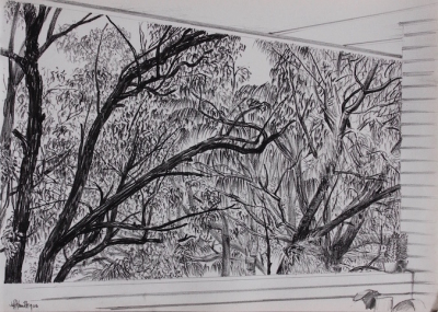 Its Right There in Front of You